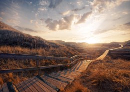 唯美小路风光图片