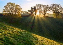 清晨第一缕阳光图片大全