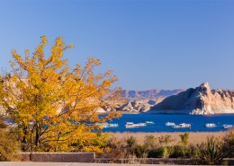 美国科罗拉多河岸风光图片