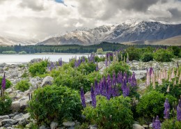 梦幻唯美的自然风景图片