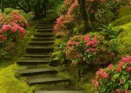 古老的石阶图片大全