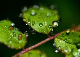 微世界风景图片