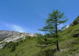 最美秦岭风景图片