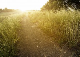 乡间小路风景图片大全