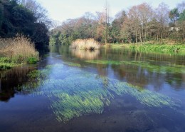 春季风景如画图片