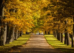 俄罗斯园林园林唯美秋季风景图片