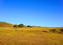 内蒙古自治区乌兰布统秋季风景图片
