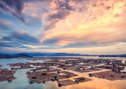 福建霞浦滩涂风景图片