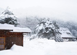 日本白川乡雪景风景图片