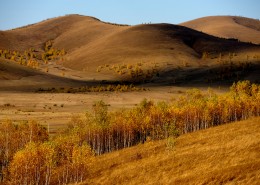 唯美内蒙古坝上草原秋季风景图片