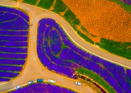 浙江台州航拍弥勒生态山谷风景图片