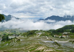 浙江丽水云和梯田自然风景图片