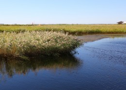 内蒙古呼伦贝尔湖自然风景图片大全
