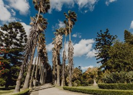 葡萄牙热带植物园的图片大全