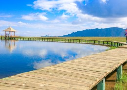 甘肃张掖夏季风景图片
