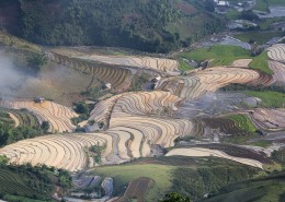 越南乡村田园风景图片