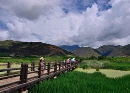 泸沽湖草海风景图片