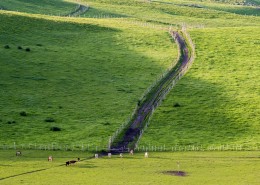 新疆美丽的天山牧场风景图片