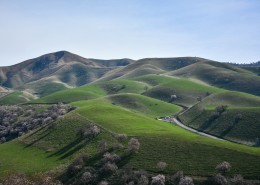 新疆吐尔根杏花沟风景图片