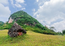 广西德保红枫森林公园风景图片