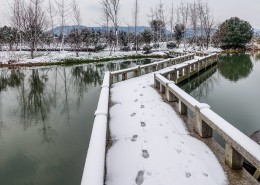 浙江海宁盐官古城雪景图片