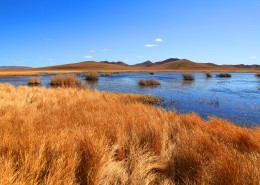 河北坝上秋景图片大全