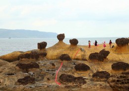 台湾野柳地质公园风景图片