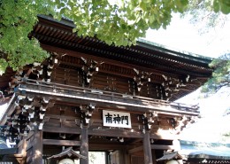 日本明治神宫的图片