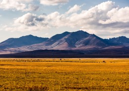 新疆巴音布鲁克风景图片