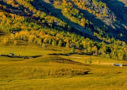 新疆禾木秋色风景图片