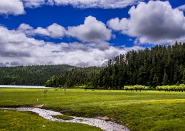 云南普达措国家公园风景图片