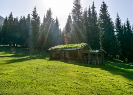 新疆科克尔斯陶牧区风景图片