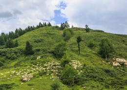 山西宁武芦芽山风景图片