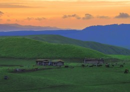 新疆特克斯草原秀丽风景图片
