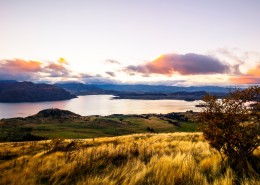 新西兰南岛风景图片