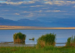 青海可鲁克湖风景图片