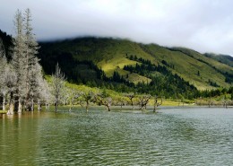 四川四姑娘山撵鱼坝风景图片