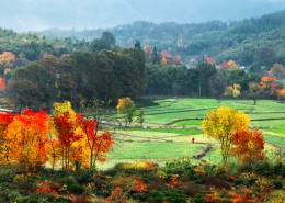 安徽塔川风景图片大全
