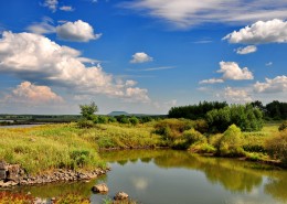 黑龙江五大连池之温泊图片
