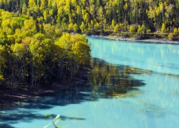 新疆喀纳斯卧龙湾风景图片