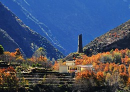 醉美川西秋色风景图片