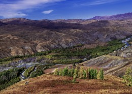 新疆阿勒泰原始古朴的齐巴契列克风景图片