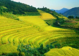 广西龙脊梯田风景图片大全