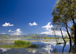 大理海舌生态公园风景图片大全