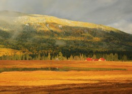 新疆喀纳斯鸭泽湖风景图片