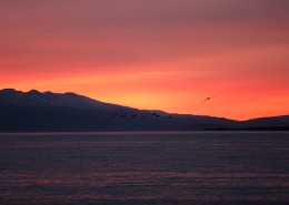 青海湖日出风景图片