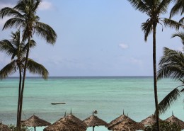 非洲桑给巴尔海边风景图片