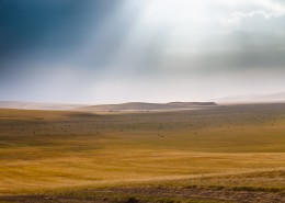 内蒙古呼伦贝尔草原秋天风景图片