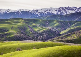 新疆大西沟风景图片