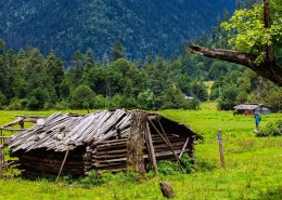 西藏南伊沟风景图片大全